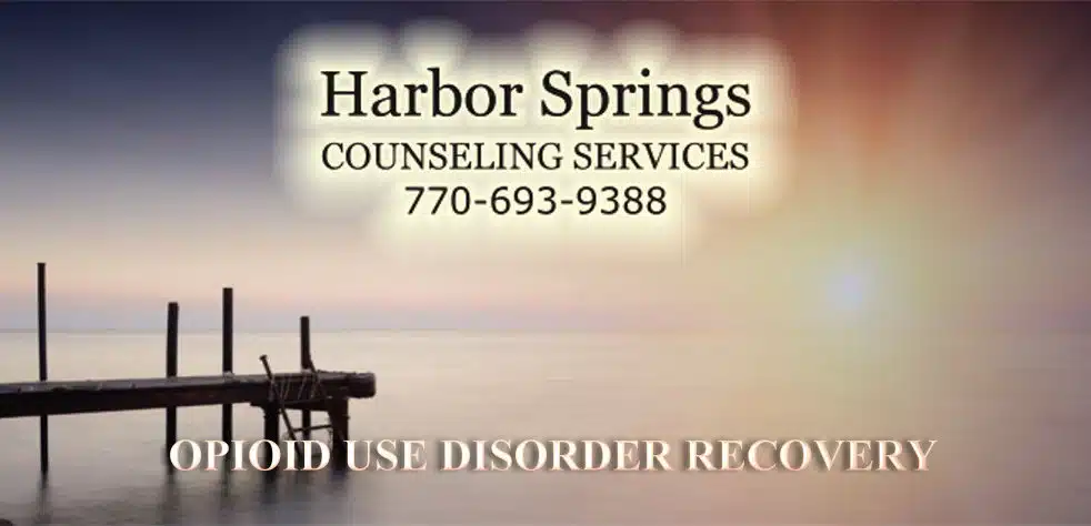 Harbor Springs Counseling Services - Preview