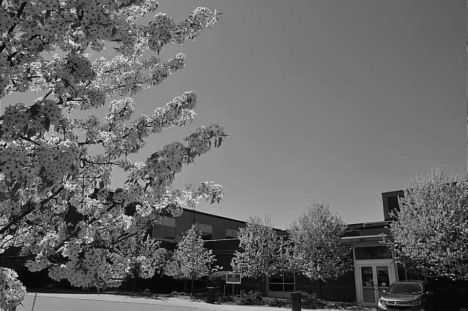 Maine Behavioral Healthcare - Thumbnail 3