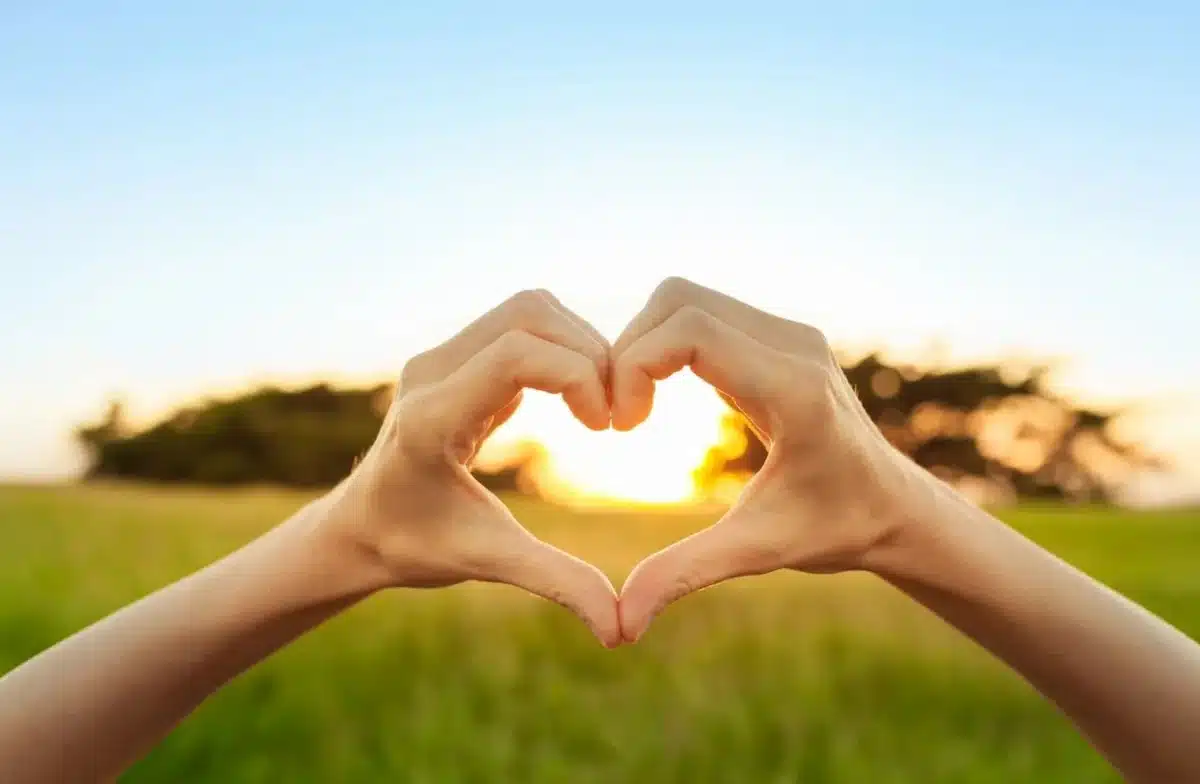 Maryland Wellness and Recovery - Thumbnail 3