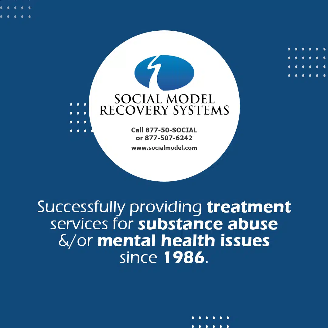 Social Model Recovery Systems - Thumbnail 4