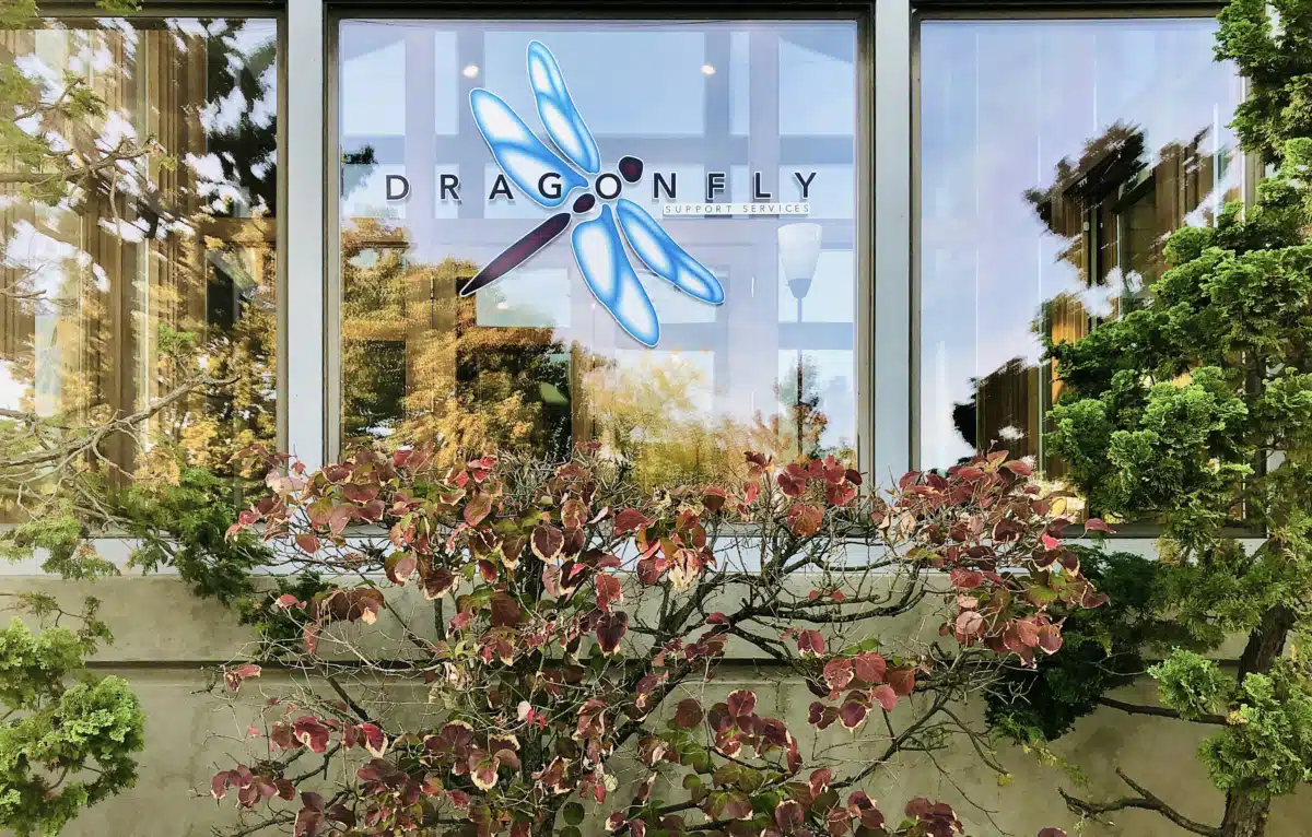 Dragonfly