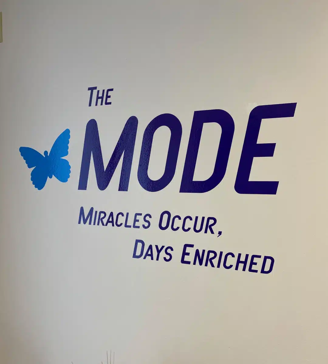 MODE - Thumbnail 6